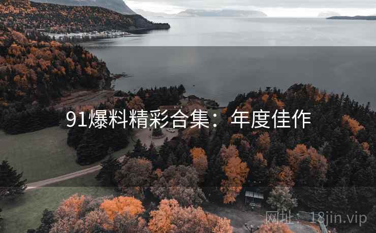 91爆料精彩合集：年度佳作