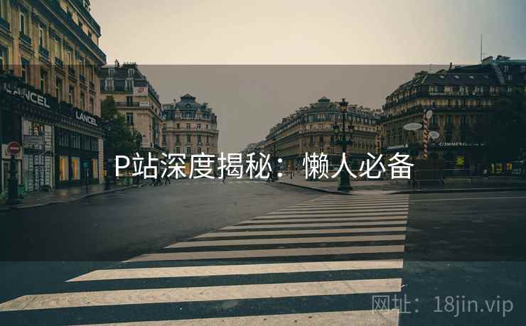 P站深度揭秘：懒人必备