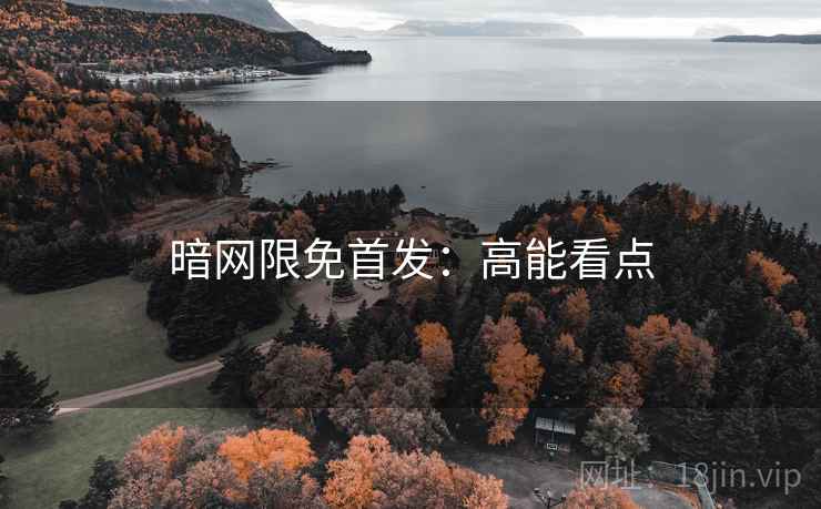 暗网限免首发：高能看点